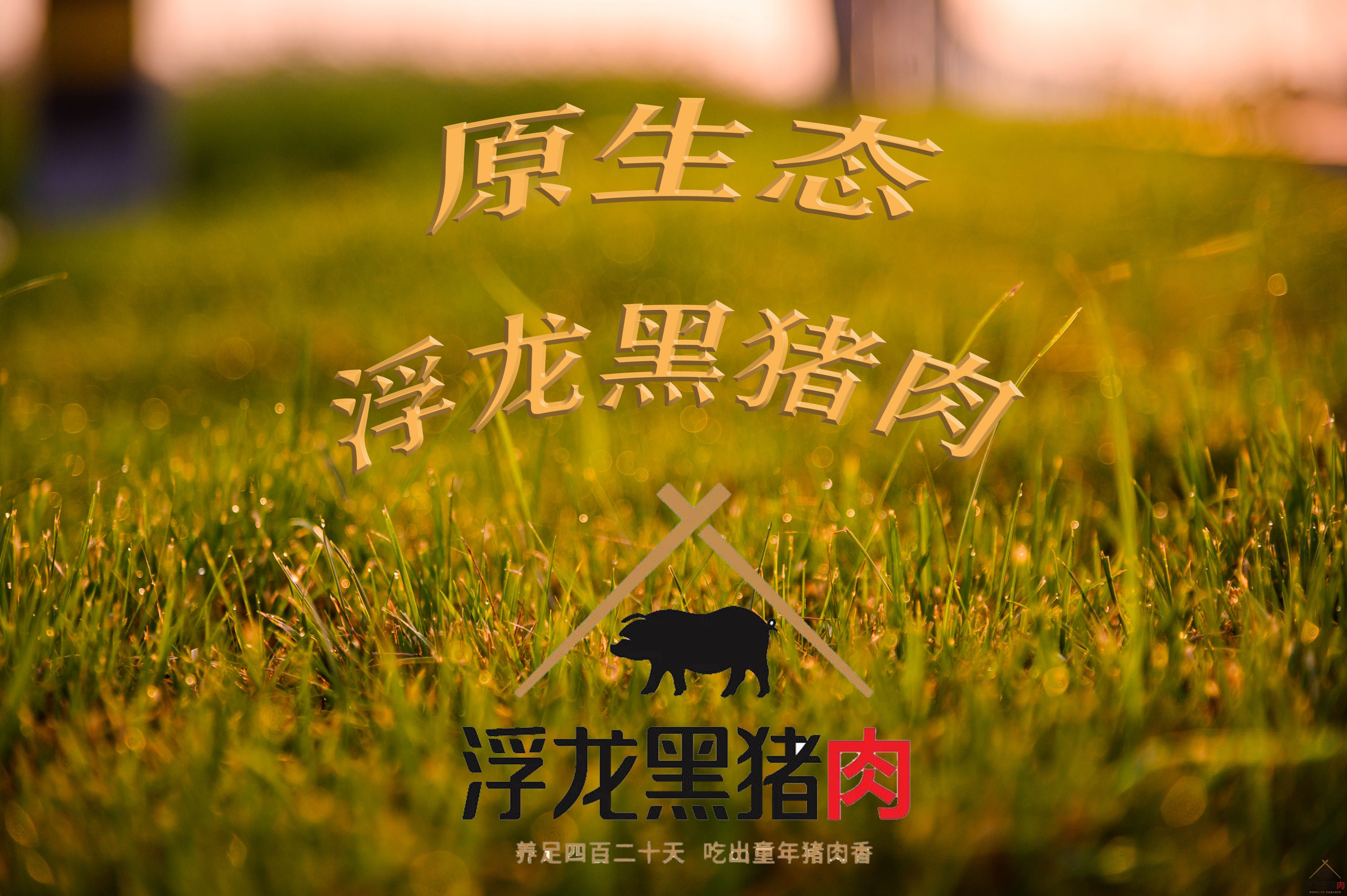 精瘦肉 生态黑猪肉(图1)
